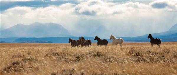 Blackfeet Indian Reservation (1/8/2026 - Credits: Jim Ward)