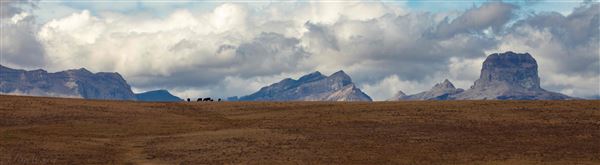 Blackfeet Indian Reservation (1/8/2026 - Credits: Jim Ward)