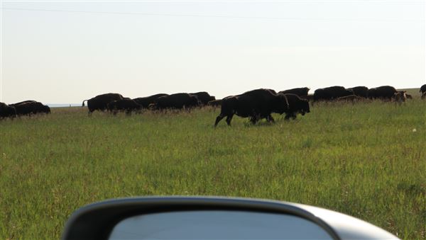 Blackfeet Indian Reservation (1/8/2026 - Credits: Jim Ward)