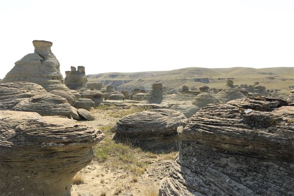 Blackfeet Indian Reservation (1/8/2026 - Credits: Jim ward)