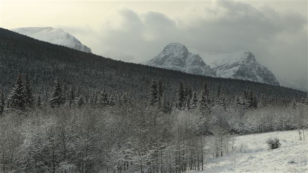 Cut Bank Creek Valley and Overlooks (11/24/2025 - Credits: Jim Ward)