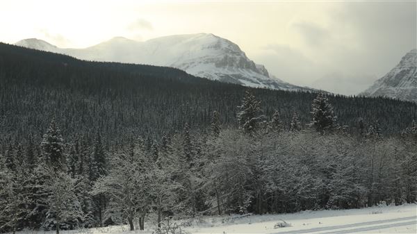 Cut Bank Creek Valley and Overlooks (11/24/2025 - Credits: Jim Ward)