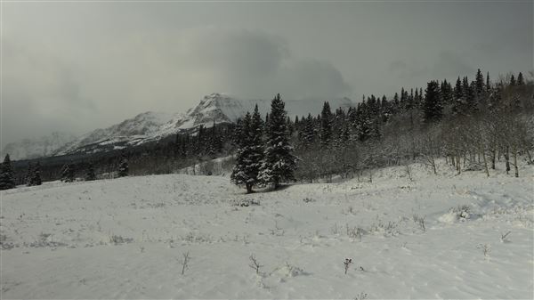 Cut Bank Creek Valley and Overlooks (11/24/2025 - Credits: Jim Ward)