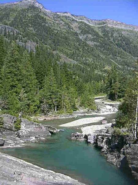 Glacier National Park: McDonald Creek (1/11/2008)
