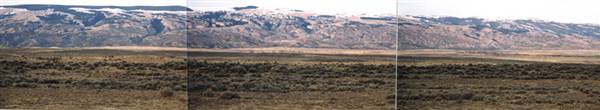 Pryor Mountains (6/1/1994)
