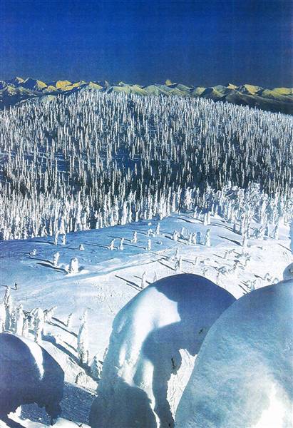 Whitefish Mountain Resort (Big Mountain) - Whitefish area - Big Mountain Ski Resort (1/19/2005 - Credits: MT Weekender)