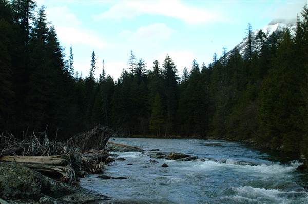 Glacier National Park: McDonald Creek (5/8/2006 - Credits: John Ansotegui)