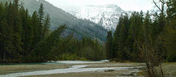 Glacier National Park: McDonald Creek (5/8/2006 - Credits: John Ansotegui)