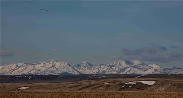Blackfeet Indian Reservation (1/8/2026)