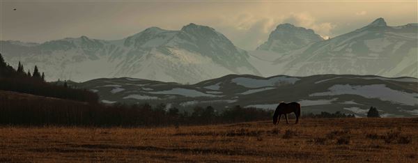 Blackfeet Indian Reservation (1/8/2026)