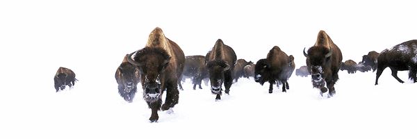 Blackfeet Indian Reservation (1/8/2026 - Credits: Jim Ward)