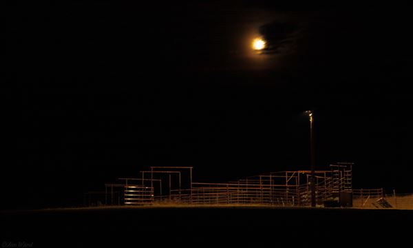 Blackfeet Indian Reservation (1/8/2026 - Credits: Jim Ward)