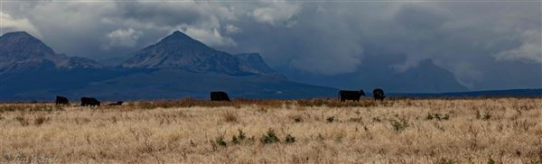 Blackfeet Indian Reservation (1/8/2026 - Credits: Jim Ward)