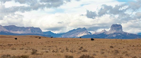 Blackfeet Indian Reservation (1/8/2026 - Credits: Jim Ward)