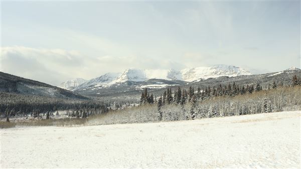 Cut Bank Creek Valley and Overlooks (11/24/2025 - Credits: Jim Ward)