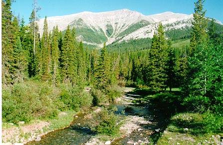 Teton River (8/12/2007)