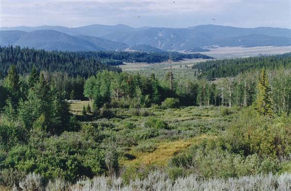 Mule Ranch (8/1/1993)