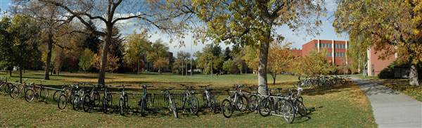Montana State University (11/9/2006 - Credits: Sten Iverson)