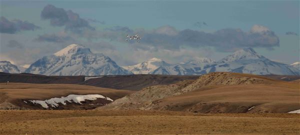 Blackfeet Indian Reservation (1/8/2026)