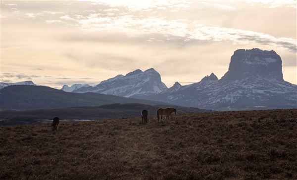 Blackfeet Indian Reservation (1/8/2026 - Credits: Jim Ward)