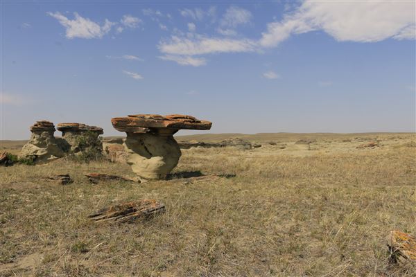 Blackfeet Indian Reservation (1/8/2026 - Credits: Jim Ward)