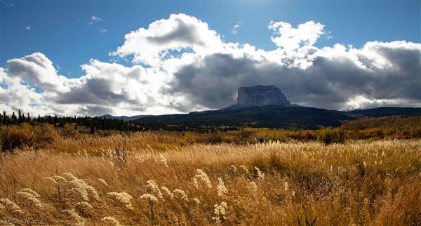 Blackfeet Indian Reservation (1/8/2026 - Credits: Jim Ward)