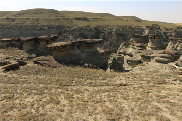 Blackfeet Indian Reservation (1/8/2026 - Credits: Jim ward)