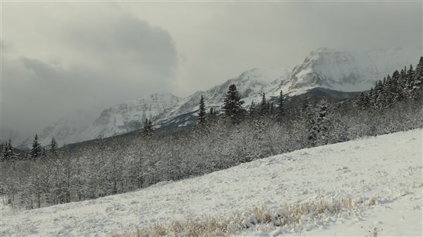 Cut Bank Creek Valley and Overlooks (11/24/2025 - Credits: Jim Ward)
