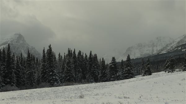 Cut Bank Creek Valley and Overlooks (11/24/2025 - Credits: Jim Ward)