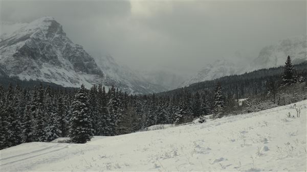 Cut Bank Creek Valley and Overlooks (11/24/2025 - Credits: Jim Ward)