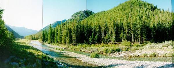 Teton River (8/12/2007)