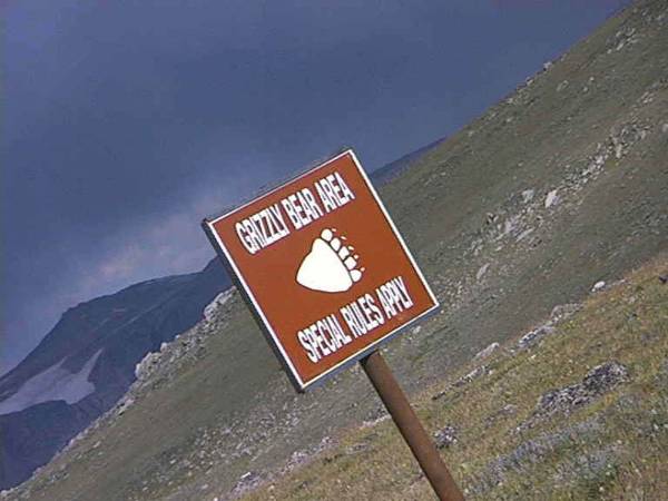 Top of the World - Beartooth Highway (1/3/2008)