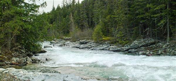 Glacier National Park: McDonald Creek (5/8/2006 - Credits: John Ansotegui)