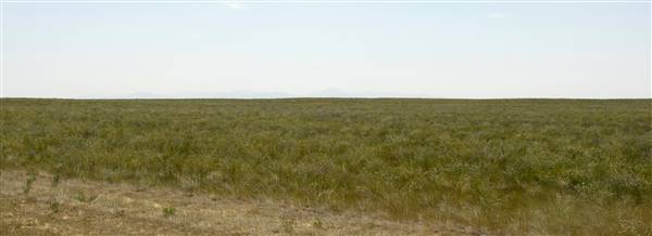 Highway 223- Fort Benton (8/10/2009 - Credits: John Ansotegui)