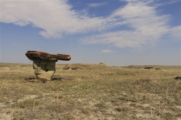 Blackfeet Indian Reservation (1/8/2026 - Credits: Jim Ward)