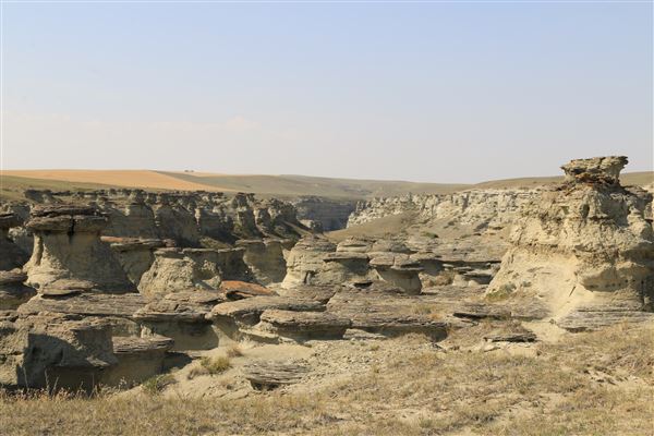 Blackfeet Indian Reservation (1/8/2026 - Credits: Jim ward)