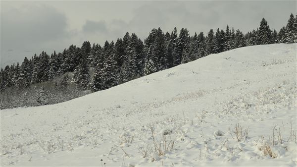 Cut Bank Creek Valley and Overlooks (11/24/2025 - Credits: Jim Ward)