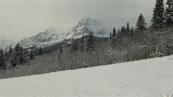 Cut Bank Creek Valley and Overlooks (11/24/2025 - Credits: Jim Ward)