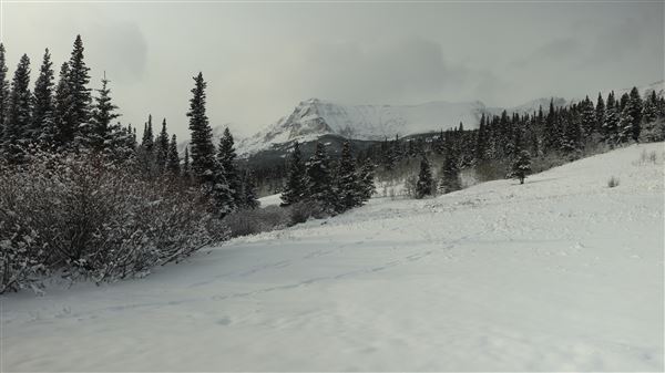 Cut Bank Creek Valley and Overlooks (11/24/2025 - Credits: Jim Ward)