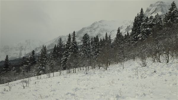 Cut Bank Creek Valley and Overlooks (11/24/2025 - Credits: Jim Ward)