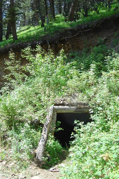 Nevada City: Gold Dredge (7/14/2009)