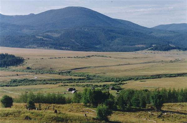 Mule Ranch (8/1/1993)