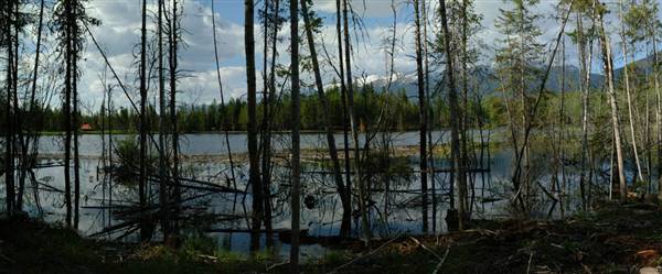 Holland Lake (7/1/2003)