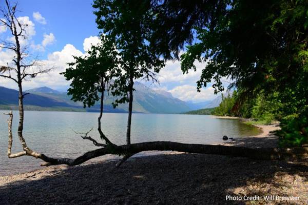 Glacier National Park: Lake McDonald (8/28/2013)