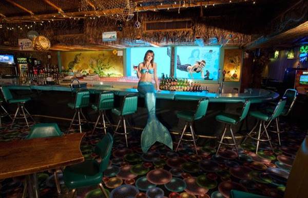 Sip-N-Dip Lounge (5/5/2014)