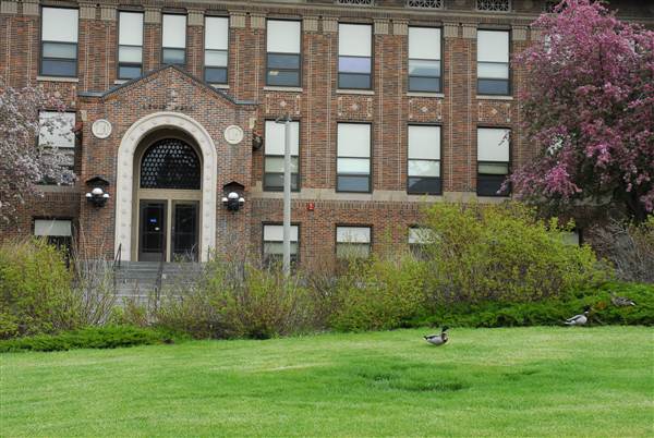 Montana State University (5/30/2008 - Credits: John Ansotegui)