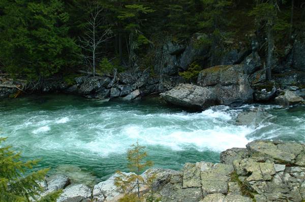 Glacier National Park: McDonald Creek (5/8/2006 - Credits: John Ansotegui)