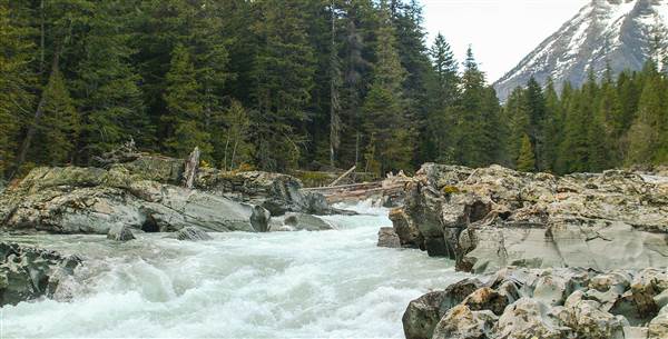 Glacier National Park: McDonald Creek (5/8/2006 - Credits: John Ansotegui)