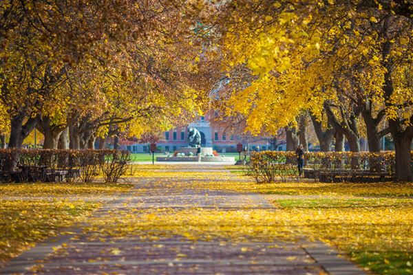 Missoula - U of M in the fall, Missoula (11/8/2014 - Credits: Destination Missoula - Webdam)