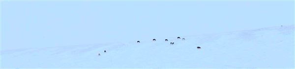 Blackfeet Indian Reservation (1/8/2026 - Credits: Jim Ward)